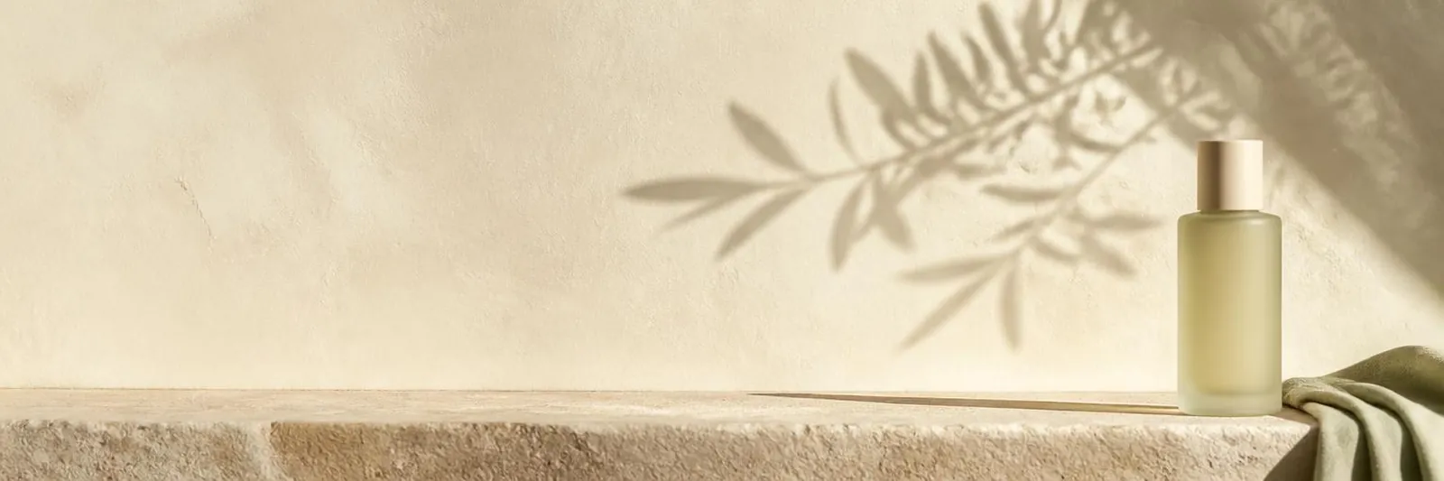Sunlit cream plaster ledge with an olive branch shadow and a single unlabeled skincare bottle