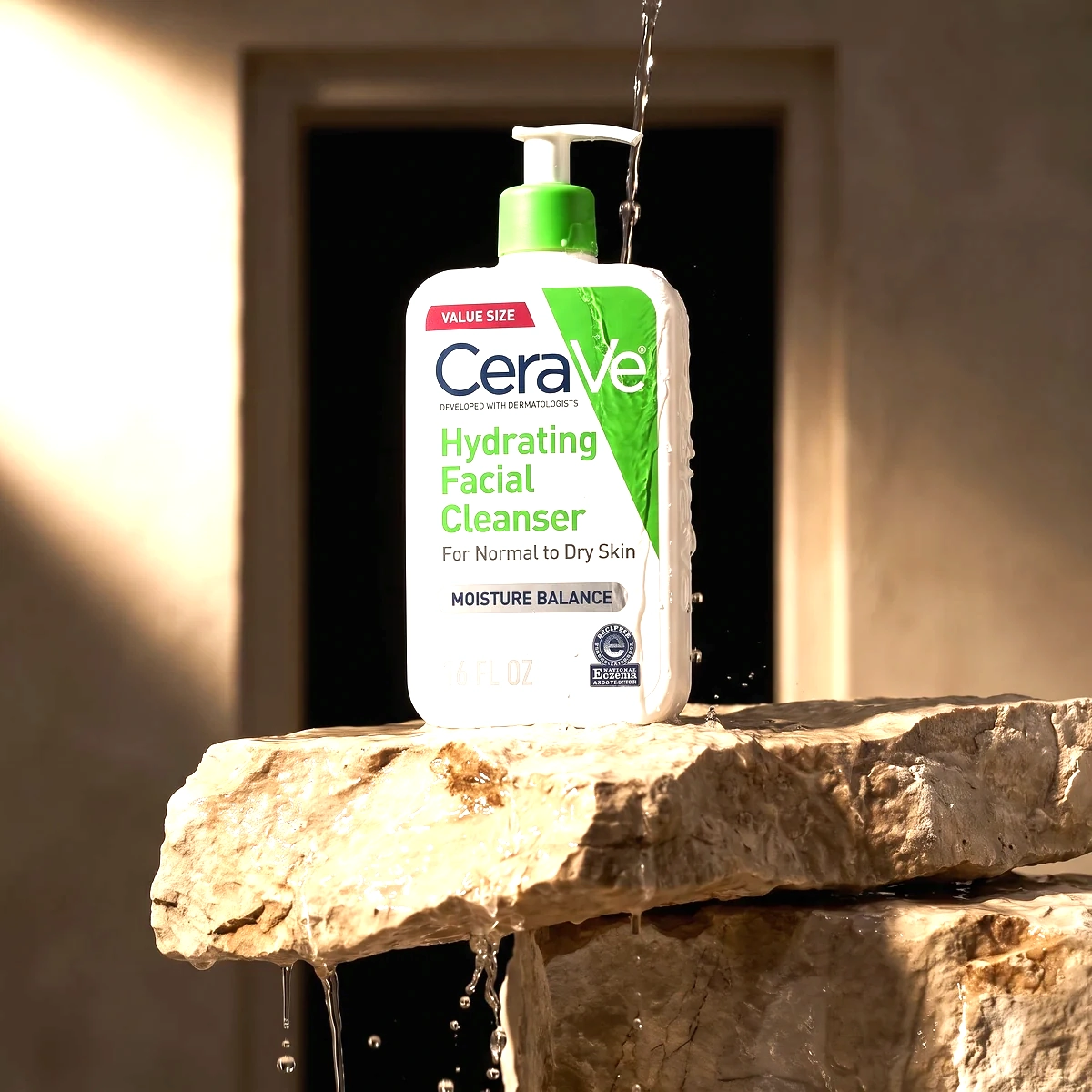 CeraVe Hydrating Facial Cleanser pump on wet fractured stone, with a green collar, clear water, and a dark doorway